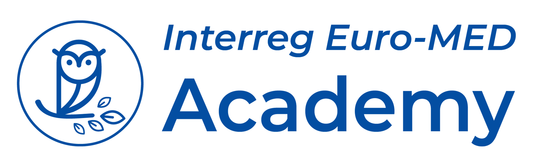 Interreg Euro-MED Academy